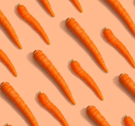 carrot