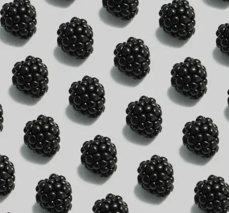 rasberry