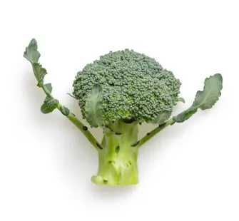 Mung Bean