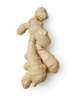 ginger