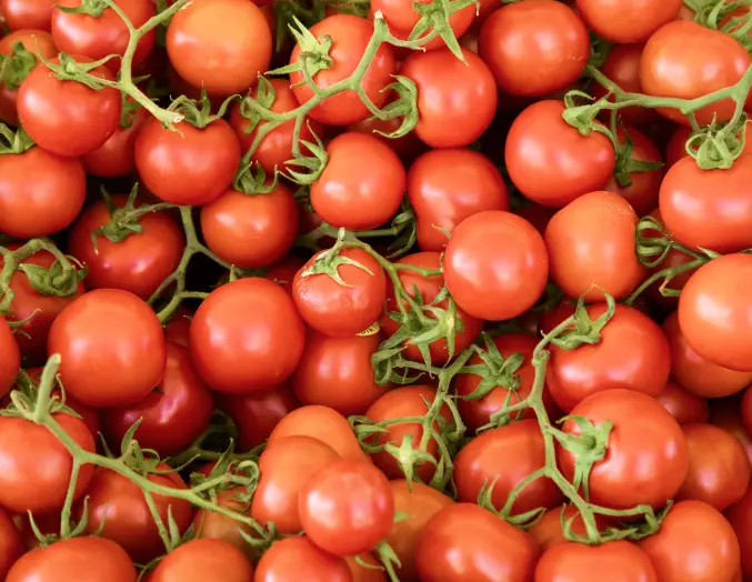 tomato