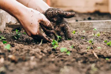hands in the ground
