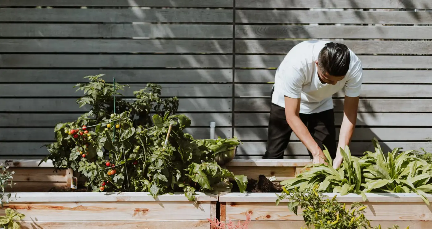 man in the garden